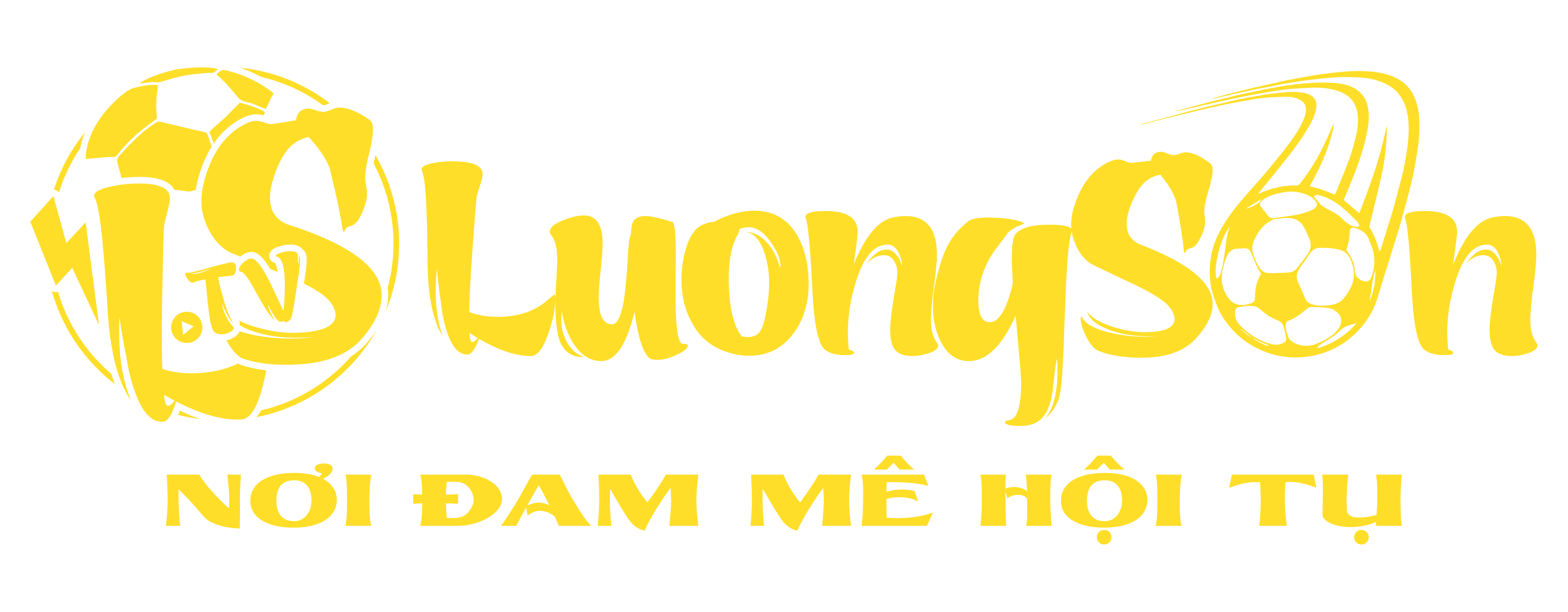 LOGO-LUONGSON.TV